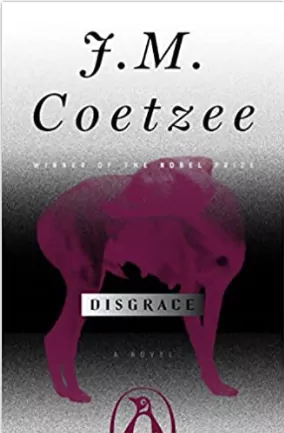 Disgrace by J M Coetzee